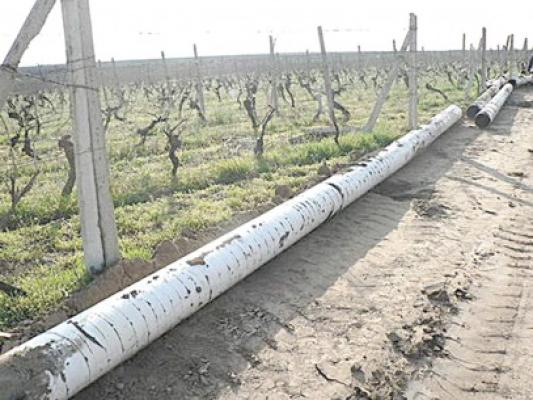 Tăiau bucăţi-bucăţi conductele sistemului de irigaţii de la Cuza vodă